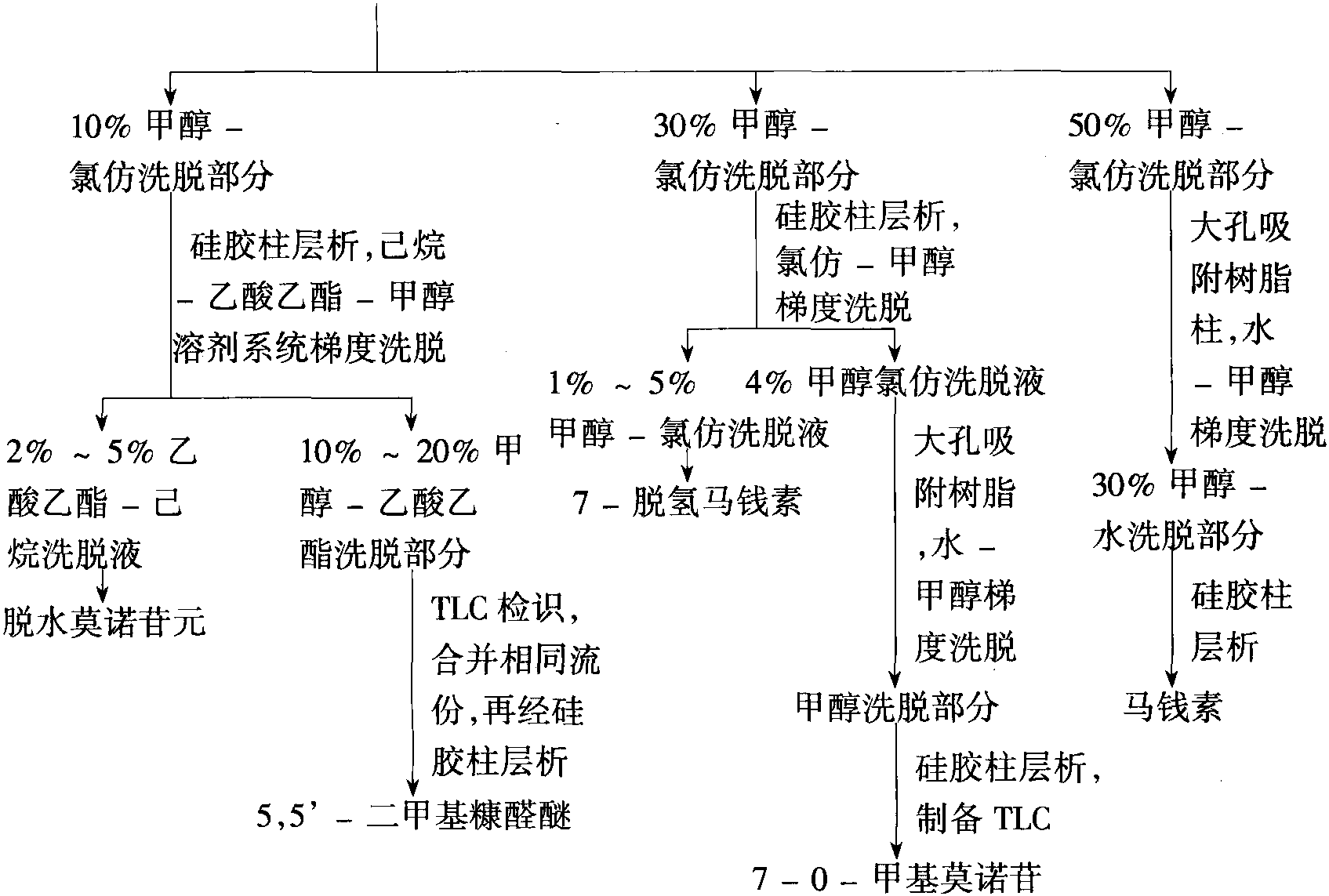 山茱萸